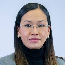 comisión de temporal de debates