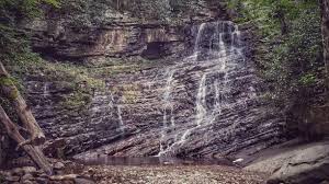 Greeneville