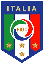 Junto a apresentação da nova camisa reserva, a rfef revelou também seu novo logo e um novo escudo para a seleção da espanha, que no entanto, só será visto na camisa que será lançada em 2022. Logo Italia Calcio Cerca Con Google Time De Futebol Italiano Selecao Italiana De Futebol Futebol