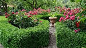 Natur im garten ist ein österreichisches magazin für gartenliebhaber und hobbygärtner. Natur Im Garten 3 10 3sat Mediathek