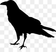 Where is the best place to get a crow tattoo? Bird Tattoo