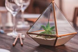 Using potted plants for your organic wedding's decor and centerpiece. Potted Plant Wedding Reception Flowers Mywedding