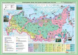 Карты природные зоны россии