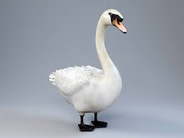 White Goose 3d Model 3ds Max Files Free Download Modeling 47899 On Cadnav 3d Model Model 3ds Max