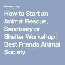 How To Start And Run An Animal Sanctuary Animal Sanctuary Animal Rescue Ideas Animal Rescue Quotes