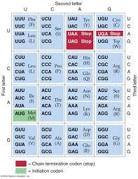 universal genetic code chart all living things have