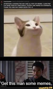 Your daily dose of fun! Attention Looking For Any And All Pop Cat Memes I Love Pop Cat More Than My