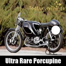 Image result for ULTRA rare ajs porcupine