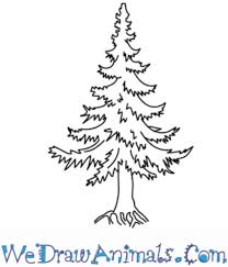 Check spelling or type a new query. 15 Diy Christmas Tree Drawings To Do With The Kids