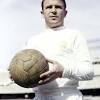 Péter bozsik (born 30 october 1961) is a football manager and son of the international player józsef bozsik,1 who was part of the golden team of the 1950s. 1