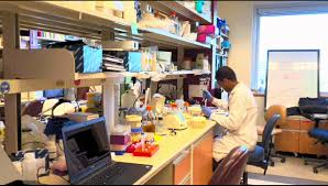 In edmonton, tyler shandro, alberta's minister of health, ric mciver, alberta's newly appointed minister of municipal affairs, and dr. Two Covid 19 Vaccine Prototypes Created In Edmonton To Start Clinical Trials Ctv News