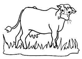 Enter youe email address to recevie coloring pages in your email daily! Hungry Cow Eating Grass Coloring Page Netart