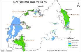 Image result for Ypsilopus liae