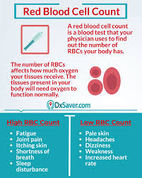 What Is Rbc Blood Test Know More About Normal Red Blood Cells Count