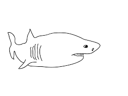 Fun colorful crayons for kids!!: Free Printable Shark Coloring Pages For Kids