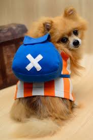 Cute Chopper One Piece Anime Dog Clothing On Etsy 35 00 Dog Clothes Puppies Cute Animals