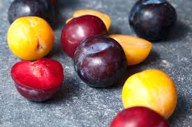 Plum