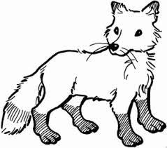 Fuchs straffiert ausmalbild malvorlage tieresterne malvorlagen fuchs malvorlagen fur kinder shams info fennec fuchs malvorlagen 6257 kevinduffyfennec fuchs sitzend ausmalbild malvorlage comicssterne malvorlagen. Malvorlage Fuchs Kostenlos Coloring And Malvorlagan