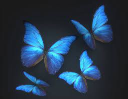 3d reddit models are ready for animation, games and vr / ar projects. Animated Butterflies Free 3d Model Free C4d Models