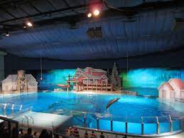 Butterflies The Indiana Insider Blog Indianapolis Zoo Indiana Indianapolis