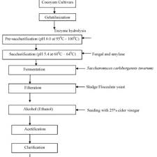 titratable acidity of acetic acid vinegar produced