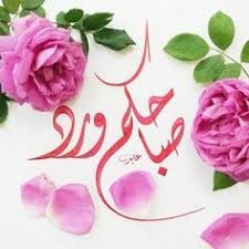 photos and videos by الخطاط عابد aabed97 good morning flowers good morning greetings good morning beautiful images