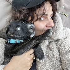 TOP 10 BEST Animal Volunteer near Venice, Los Angeles, CA