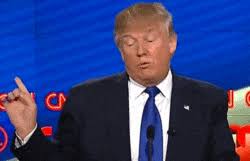 Share the best gifs now >>>. 12 Hilarious Donald Trump Gifs