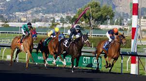 Check spelling or type a new query. Horse Racing Wikipedia