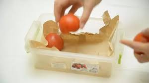 Webstockreview provides you with 23 free tomatoes clipart gambar. 4 Ways To Store Tomatoes Long Term Wikihow
