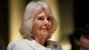 Camilla says King Charles "doing extremely well" after cancer diagnosis,  but what is her role?
