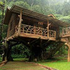 Atraksi yang wajib anda coba jika ke wisata bogor taman safari adalah safari journey. 30 Rumah Pohon Di Indonesia Yang Instagramable Terbaru 2021