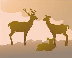 Buck and doe silhouette free. Deer Family Stag Free Vector Graphic On Pixabay