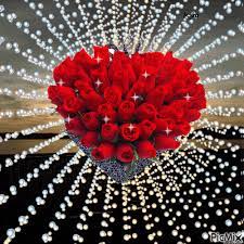 5592188 6f068 Gif 500 500 Pixeles Amor Gif Flores De Amor Fotografias De Amor