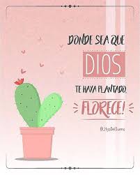 Hija Del Dueno On Instagram Tienes Un Proposito Hermoso No Importa Si Eres Medico Abogado Policia Es En 2020 Frases Espirituales Frases Religiosas Frases Bonitas