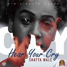 Download Shatta Wale Hear Your Cry Aacehypez Crying Hearing New Music