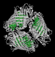 He competed in the men's lightweight event at the 1964 summer olympics. Quantum Technology From Research To Application Springerlink