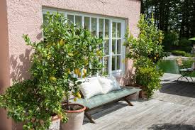 By growing some of your own fruit, you can save money, include healthy foods in your family's meals and enjoy the convenience of having fresh fruits readily. Low Maintenance Fruit Trees To Grow In Your Yard This Old House
