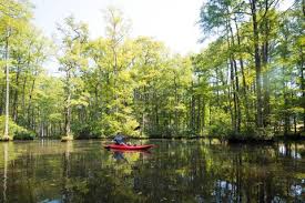 The Best Hidden Gems In Raleigh N C Brand Usa