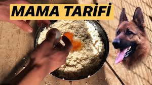 Yavru Buyuten Kopekler Icin Mama Tarifi Almankurdu Dog Almancobankopegi Puppy Youtube