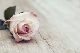 When is mother's day in other years? International Bereaved Mother S Day Still Standing Magazine
