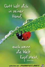 10 Schone Spruche Und Lebensweisheiten Aus