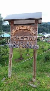 Terletak di kawasan kampung tradisional kg taman sedia. R Dedesaku Homestay Kg Tmn Sedia Cameron Highlands Pahang Facebook