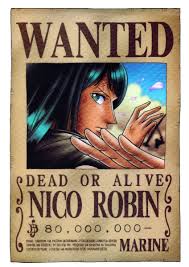 Pin On One Piece