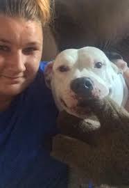 Pit bull owners introduce their pets