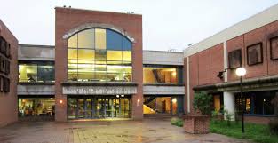 County Board Signals Support For Library Collections Budget Increase Arlnow Com