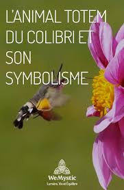 C'est moi qui (venir) te garder ce soir. L Animal Totem Du Colibri Et Son Symbolisme Wemystic France Totem Animaux Totems Animaux