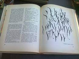 Acela de a se simți în sfârșit învingători. Cele Douasprezece Luni Ale Visului Iordan Chimet