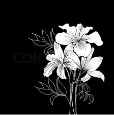 Black and white flowers pictures. Black And White Background With White Stock Vector Colourbox