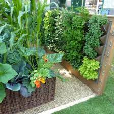 Growing Vegetables In Small Spaces Vertical Vegetable Gardens Small Vegetable Garden Backyard Vegetable Gardens